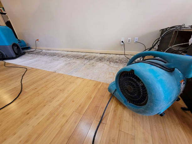Professional Water Removal technician working in Lexington, MI